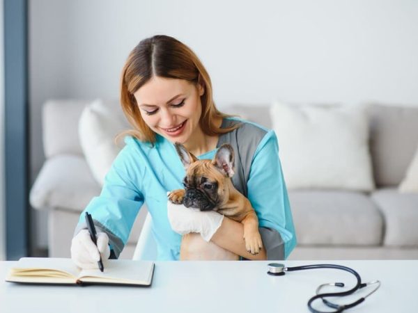 Assurance animaux
